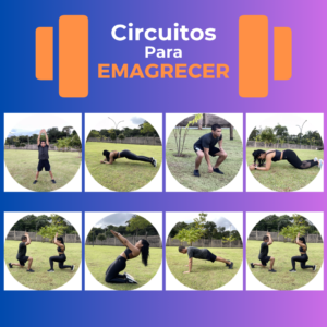 Copy of receitas para secar
